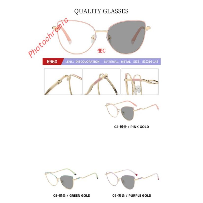 Photochromic optical frame 6950