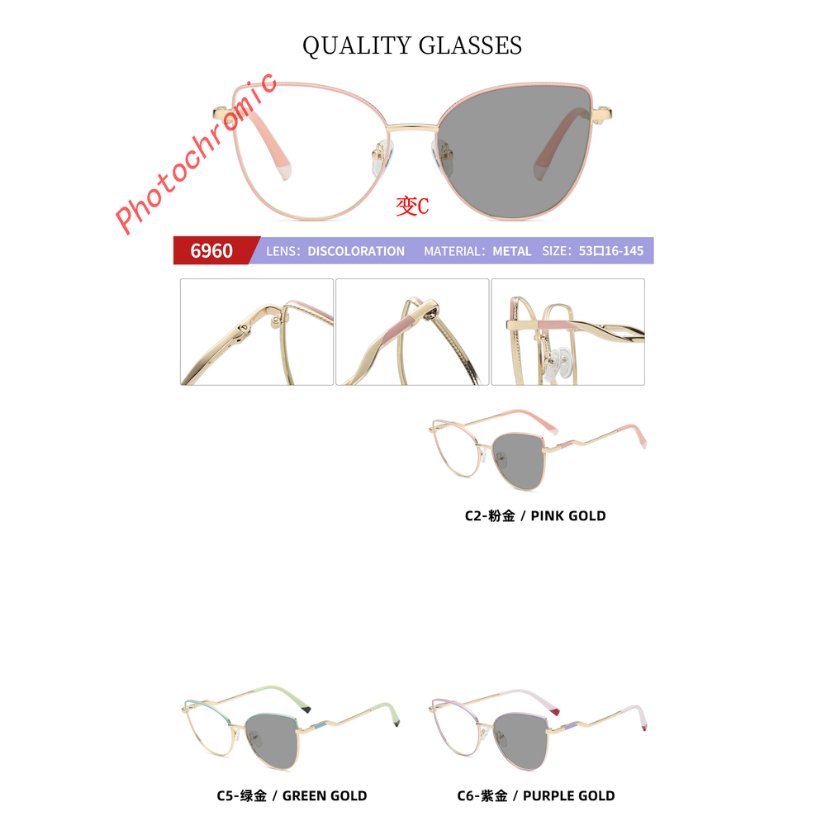 Photochromic optical frame 6950