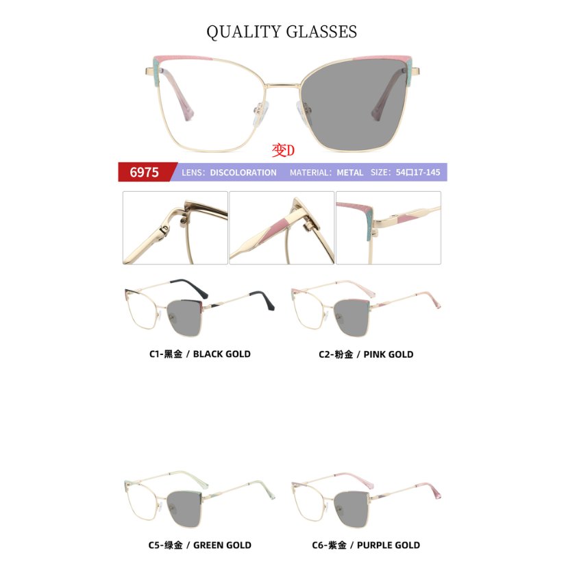 Photochromic optical frame 6975