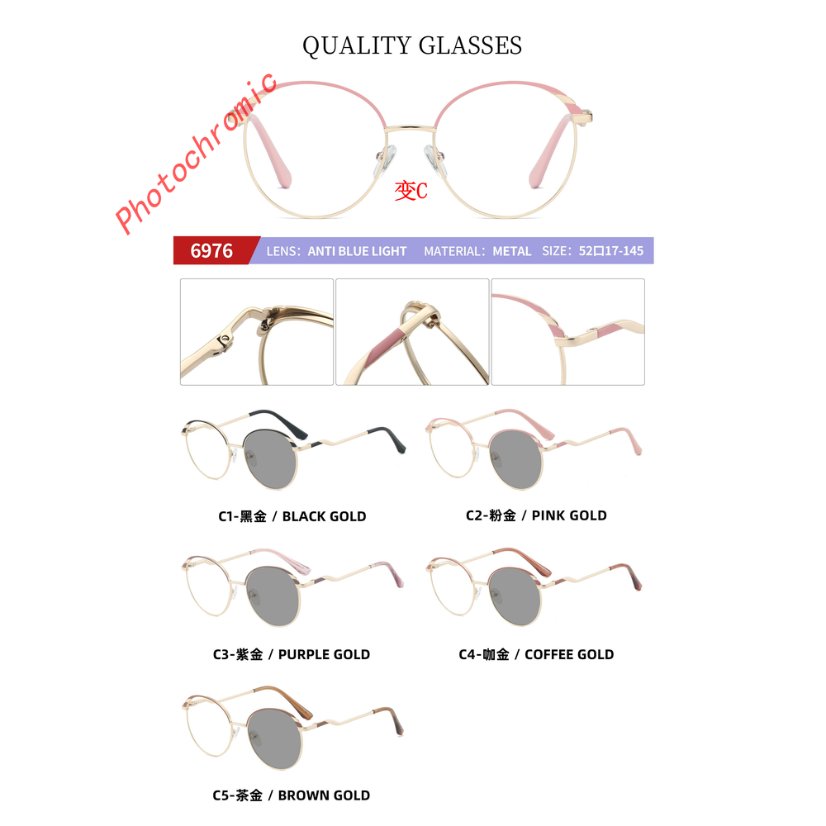 Photochromic optical frame 6976