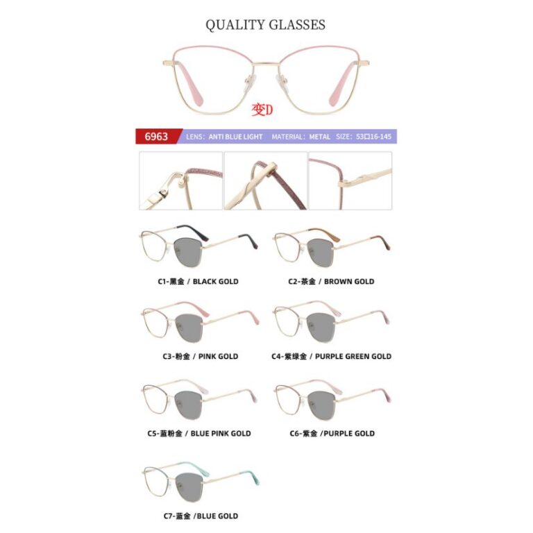 Photochromic optical frame 6963