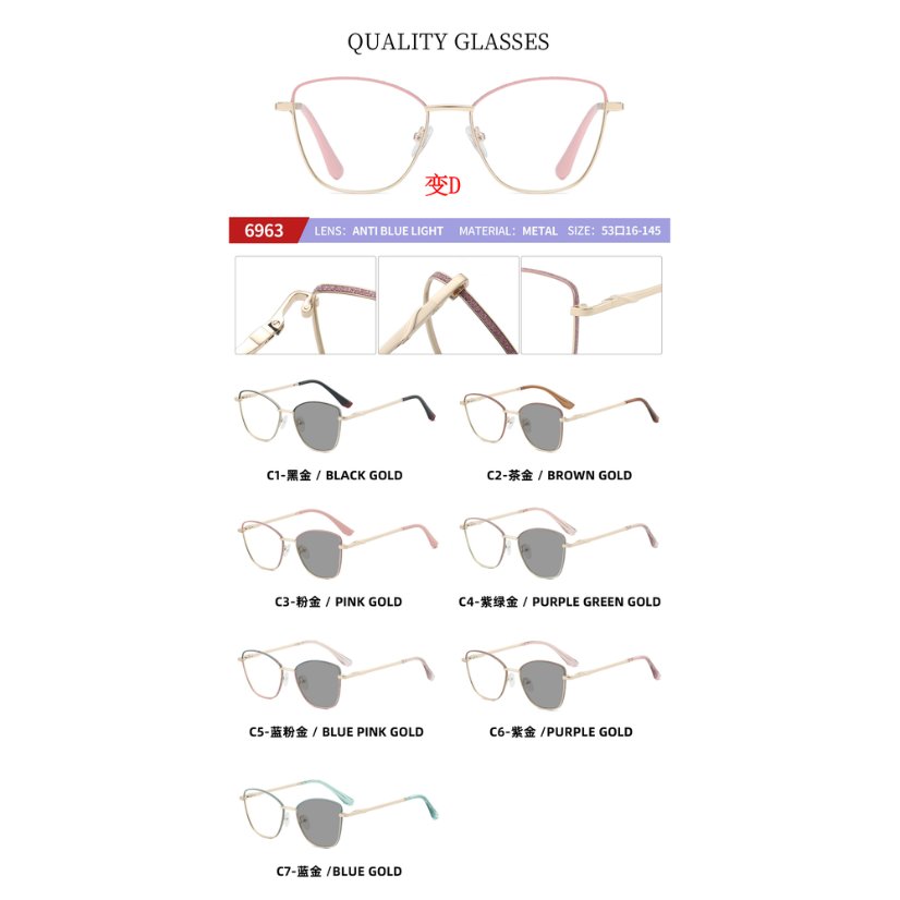 Photochromic optical frame 6963