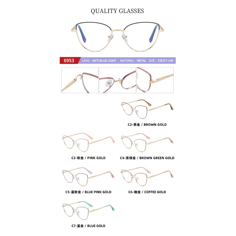 Metal optical for lady 6953