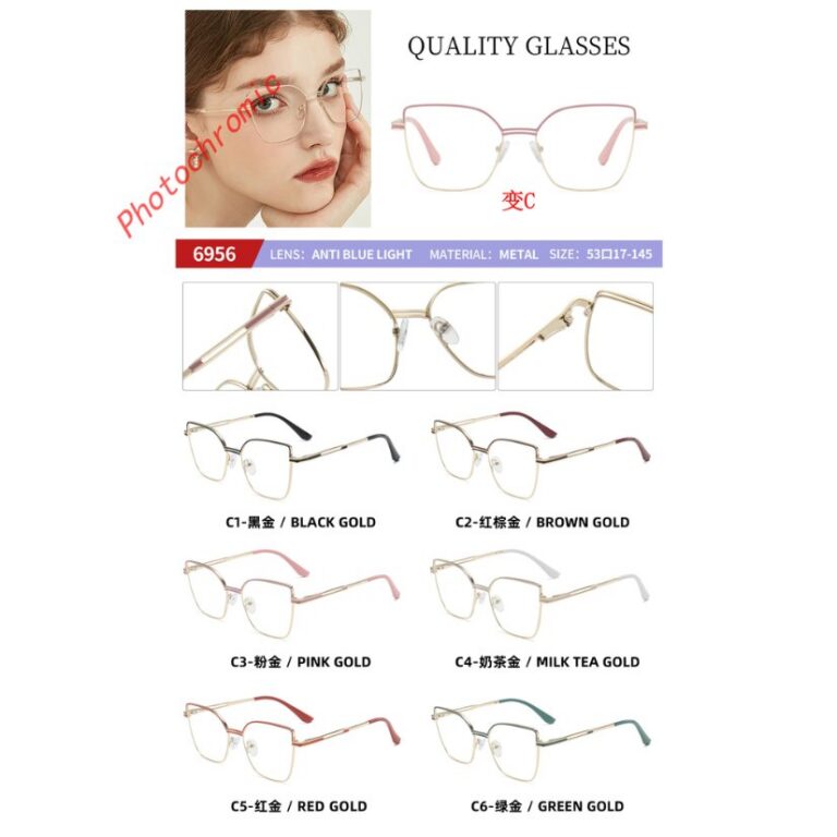 Photochromic optical frame 6956